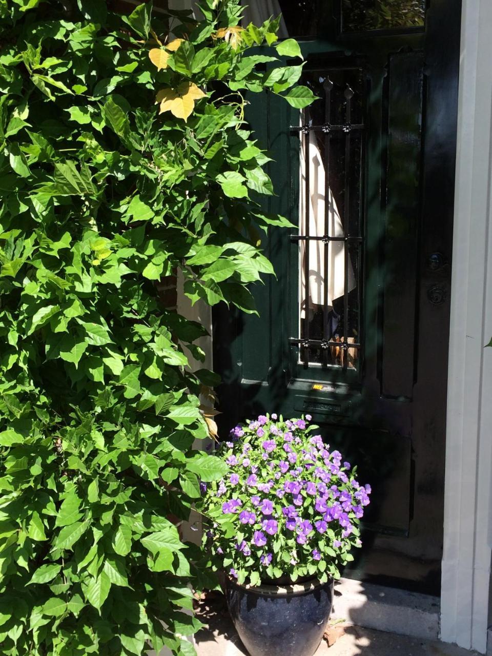 B&B Muntzicht Utrecht Dış mekan fotoğraf